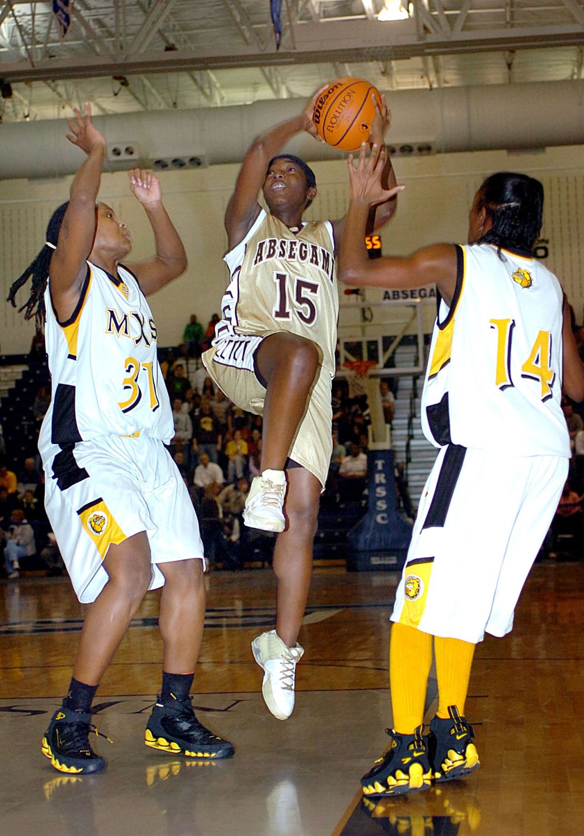 2006 Absegami